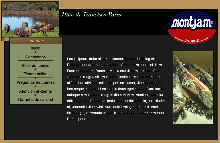 Jamones Montjam
